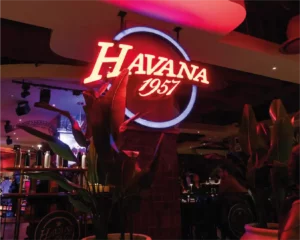 Havana Flamingo Grand Opening